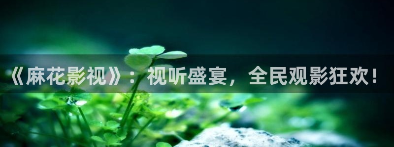 藍莓視頻完整版：《麻花影視》：視聽盛宴，全民觀影狂歡！